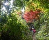 六甲山最高峰と東おたふく山を歩こう