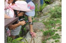 IMG_7687 IMG_7687