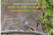 バードウィークフェスティバル(トップ) バードウィークフェスティバル(トップ)