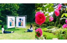 初夏の花めぐり ROKKOフォトグラフィックガーデン 初夏の花めぐり ROKKOフォトグラフィックガーデン