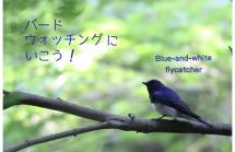 wbsjhyogo20180708shinrin wbsjhyogo20180708shinrin