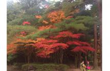 20161113_再度公園 20161113_再度公園