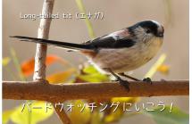 wbsjhyogo20181111shinrin wbsjhyogo20181111shinrin