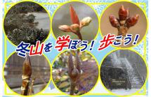【冬山を学ぼう歩こう】提供写真 【冬山を学ぼう歩こう】提供写真