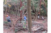 森の学校2019.9 森の学校2019.9