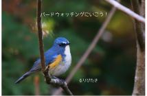 wbsjhyogo191208nunobiki2019.10 wbsjhyogo191208nunobiki2019.10