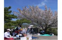 リュック4月2020.03 リュック4月2020.03