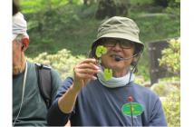 ぶらぶらガイド-min2020.5 ぶらぶらガイド-min2020.5