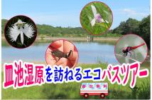 【画像】皿池湿原を訪ねるエコバスツアー2020.7 【画像】皿池湿原を訪ねるエコバスツアー2020.7