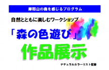 森の色遊び2020.9 森の色遊び2020.9