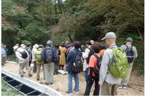 5,薬樹観察会2021.8 5,薬樹観察会2021.8