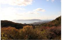 写真1 2月定観 六甲山大学HP用2021.12 写真1 2月定観 六甲山大学HP用2021.12