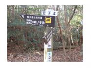 木の芽時を楽しむ 木の芽時を楽しむ