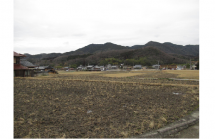 春の花を求めて里山散歩 春の花を求めて里山散歩