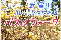 【画像】武庫川のルーツを訪ねるバス＆ウォーク2023.2