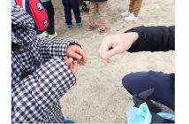 6甲山のしぜんで報告[1]2024.5