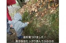4かるがも紹介2025.5 4かるがも紹介2025.5