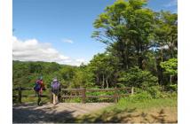 摩耶山を登ろう2025.5 摩耶山を登ろう2025.5