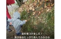 4かるがも紹介2025.6