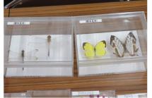 6生き物好き集まれ2025.6
