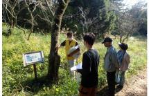 3.樹木医ガイド（自然林の植生）2025.7