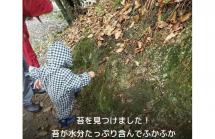 4かるがも紹介2025.9