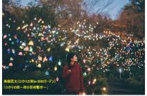 髙橋匡太《ひかりの実in SIKIガーデン》「ひかりの森～夜の芸術散歩」2025.9クレ2