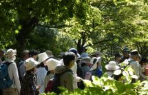 9.身近な薬草観察会~森の薬箱~2025.10 9.身近な薬草観察会~森の薬箱~2025.10