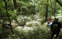 14摩耶の森クラブ「森の手入れワークショップ2025 第5回」2025.10 14摩耶の森クラブ「森の手入れワークショップ2025 第5回」2025.10