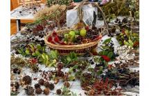 2ののわ紹介2025.10