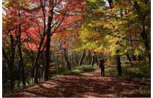 07山撮り写真教室2025.10 07山撮り写真教室2025.10