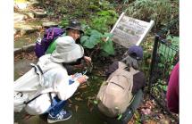 05MAYAde和ハーブ2025.11