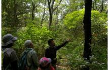 11摩耶山ミニガイドツアー2025.11