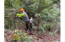 森の手入れ活動2025.11 森の手入れ活動2025.11