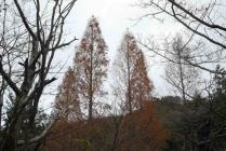 07山撮り写真教室2025.11