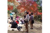 6ネウボラ報告2025.12