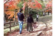 7家族写真報告2025.12