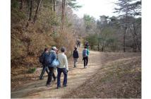 4.ウエルネスウォーキング2025.12