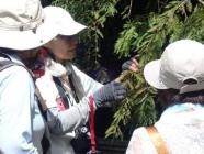 09ネイチャーガイド-s