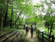 1ウエルネス紹介-s