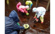 3.カエルの学校-s