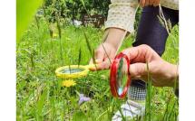 8.ネイチャーゲーム-s 8.ネイチャーゲーム-s