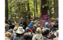 9身近な薬草観察会-s 9身近な薬草観察会-s