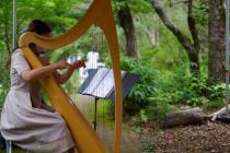 SIKIガーデンコンサートs