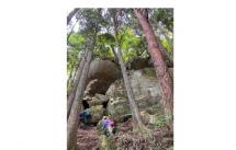 20260320ビジュアル-s