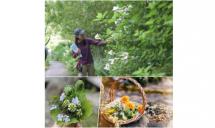 草摘み花摘みガーデンツアーs