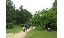 5ウエルネスウォーキング-s 5ウエルネスウォーキング-s