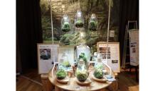 4.KOBEコケ展-s 4.KOBEコケ展-s