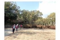 1ウエルネス報告-s