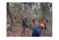 202602森の手入れ（初心者）-s